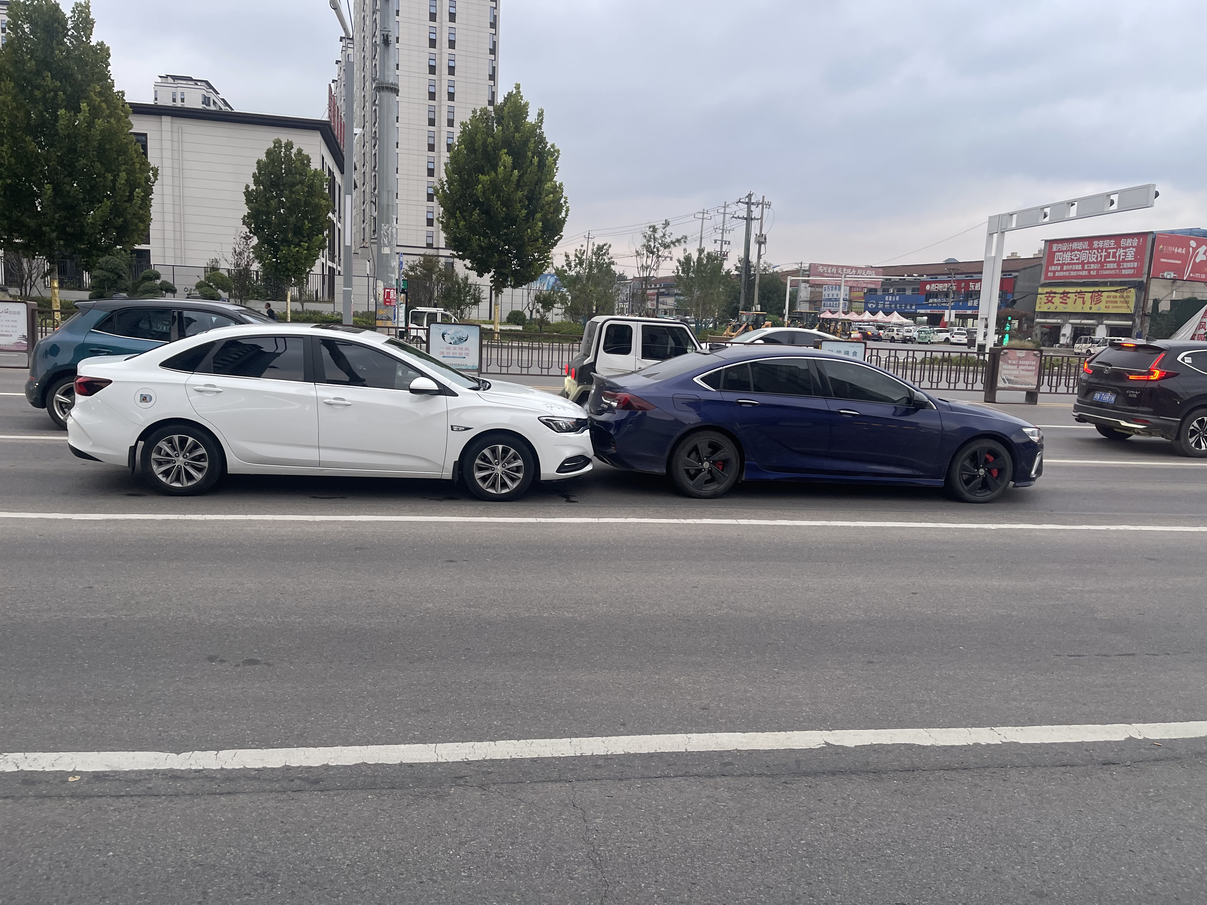 我咋就这么倒霉