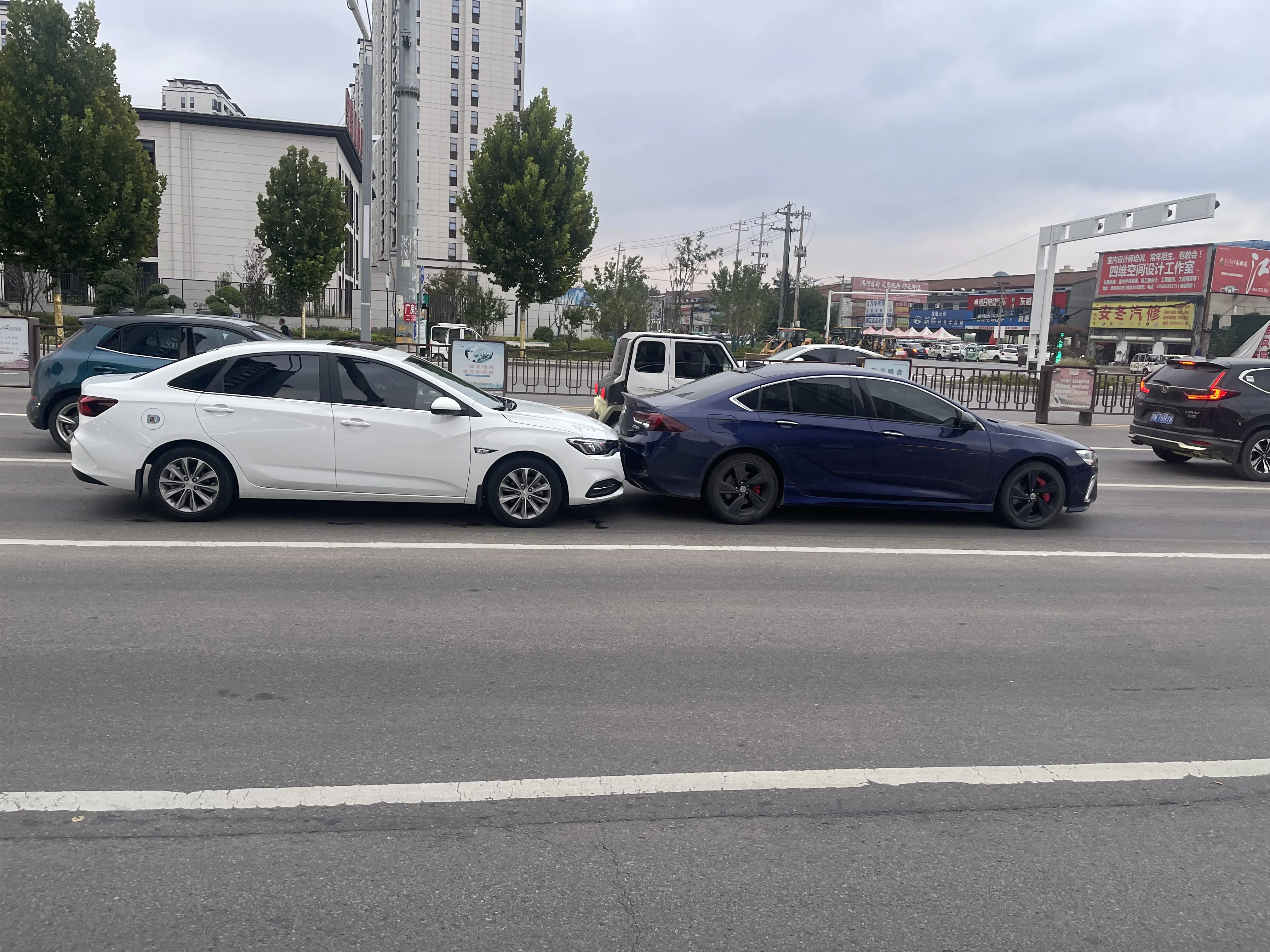 我咋就这么倒霉